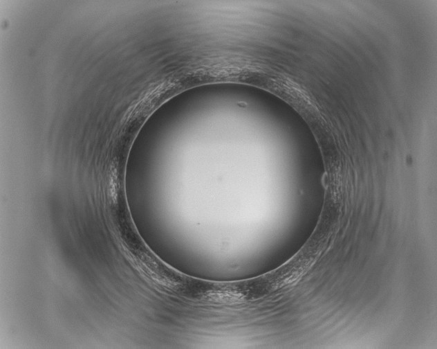 X0000062690644200601041102