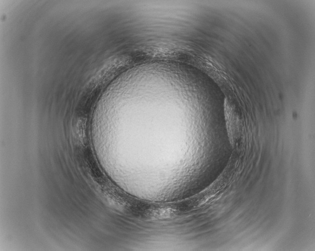 X0000062690695200601041102