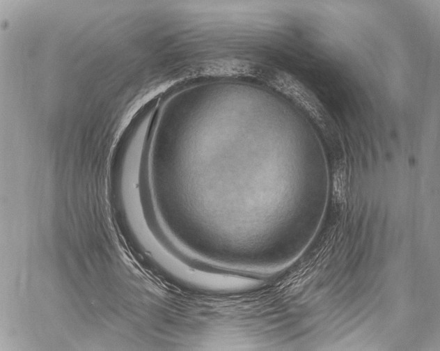X0000062690724200601041101