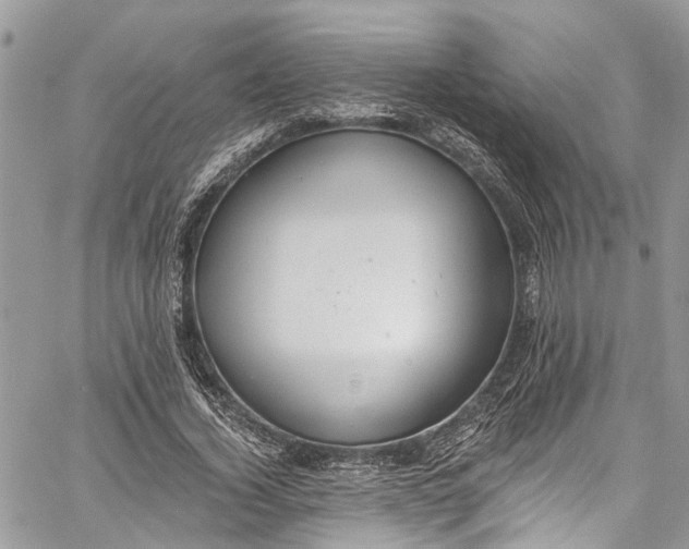 X0000062690732200601041101