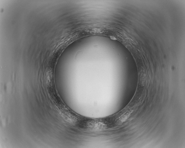 X0000062690747200601041101