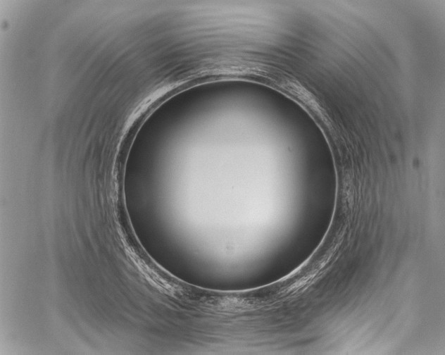 X0000062690787200601041100