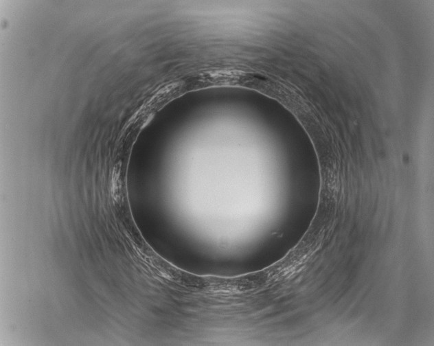 X0000062690818200601041059