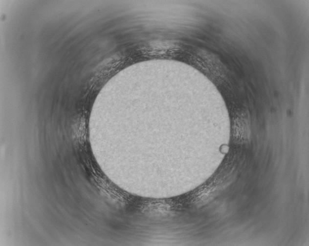 X0000062690820200601041059