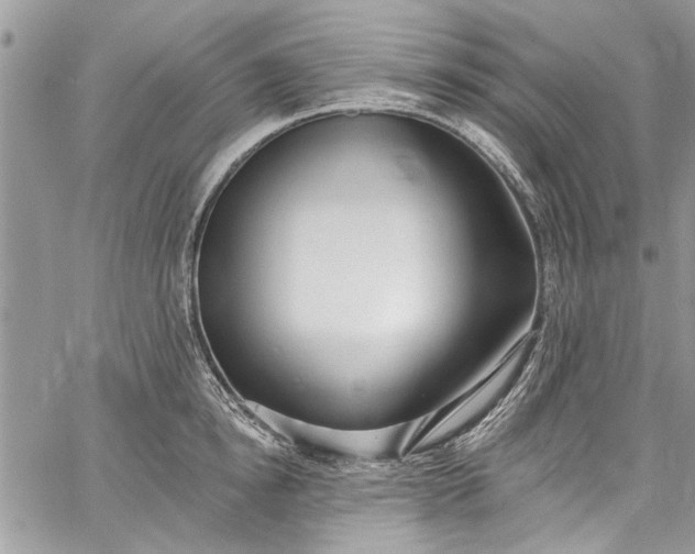 X0000062690854200601041100