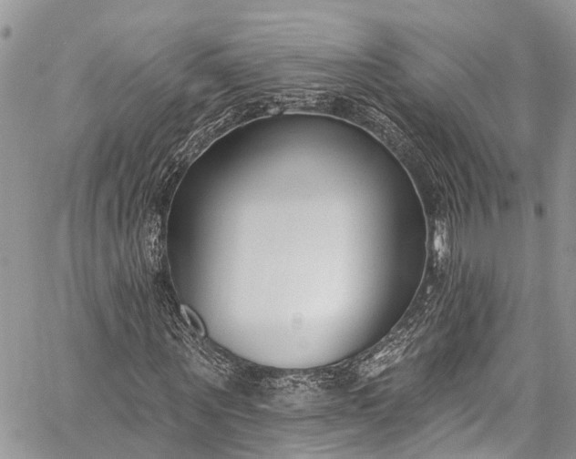 X0000062690867200601041059