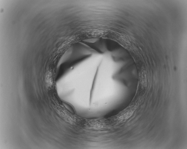 X0000062690962200601041057