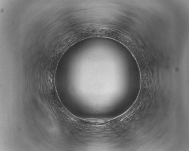 X0000062691013200601041056
