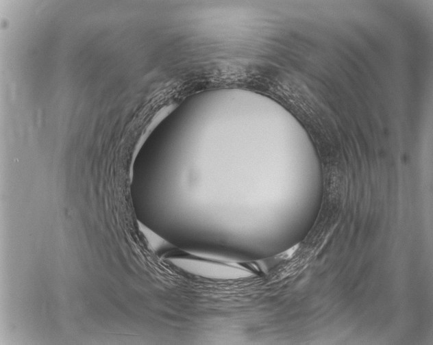 X0000062691153200601041054