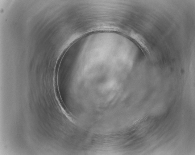 X0000062691237200601041053