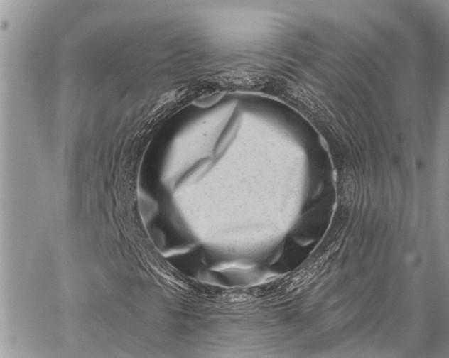 X0000062691297200601041051
