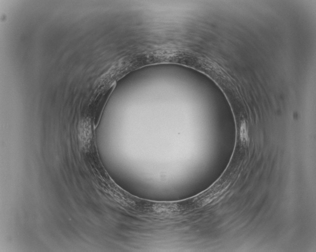 X0000062691299200601041051