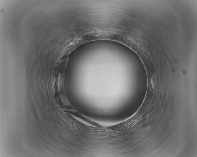 X0000062691348200601041051