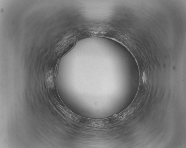 X0000062691396200601041049