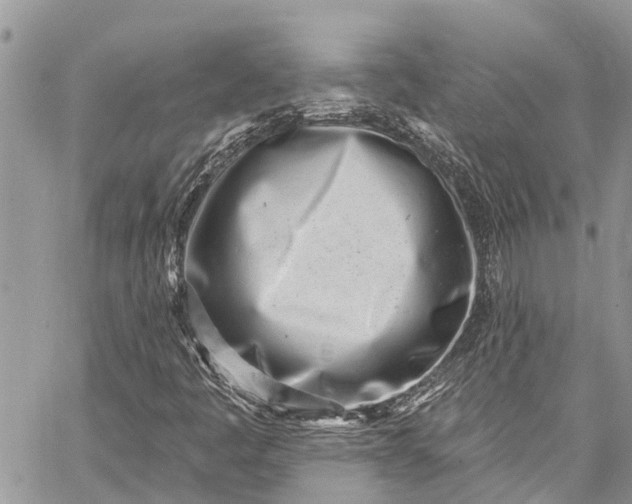 X0000062691445200601041049