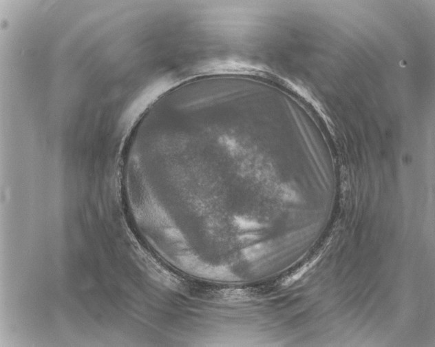 X0000062691463200601041049