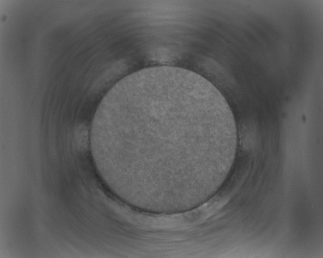 X0000062690036200601111347