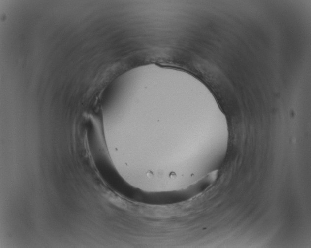 X0000062690041200601111347