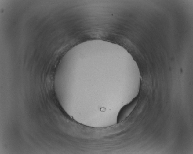 X0000062690043200601111347