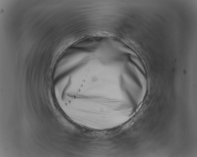 X0000062690049200601111346