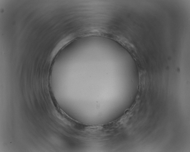 X0000062690051200601111346