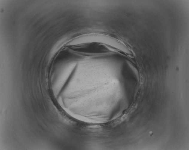 X0000062690053200601111346