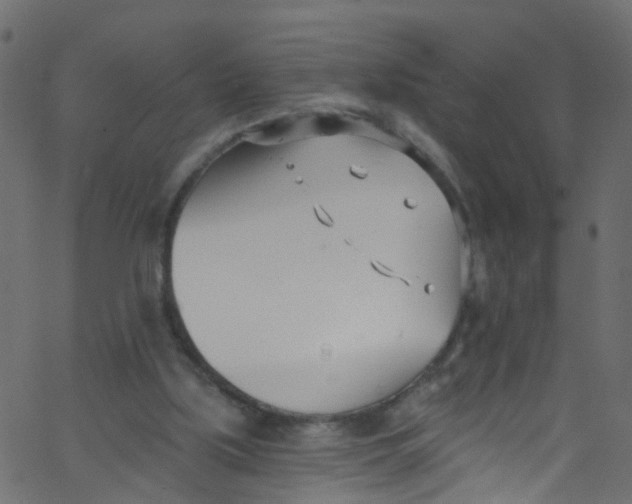 X0000062690059200601111346