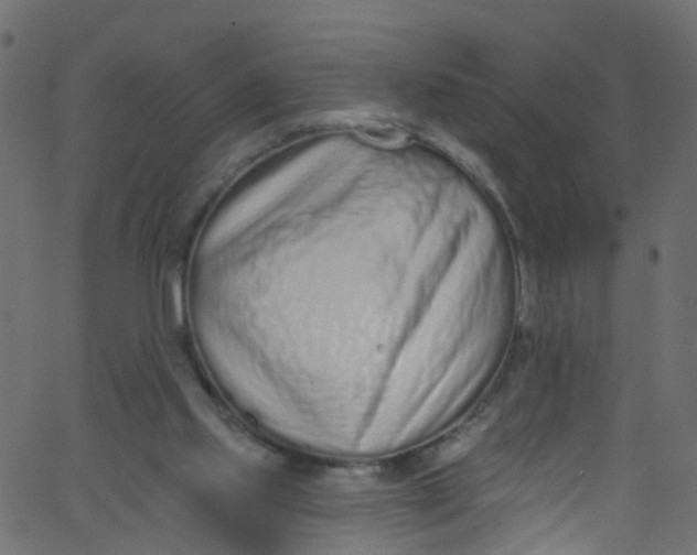 X0000062690061200601111346