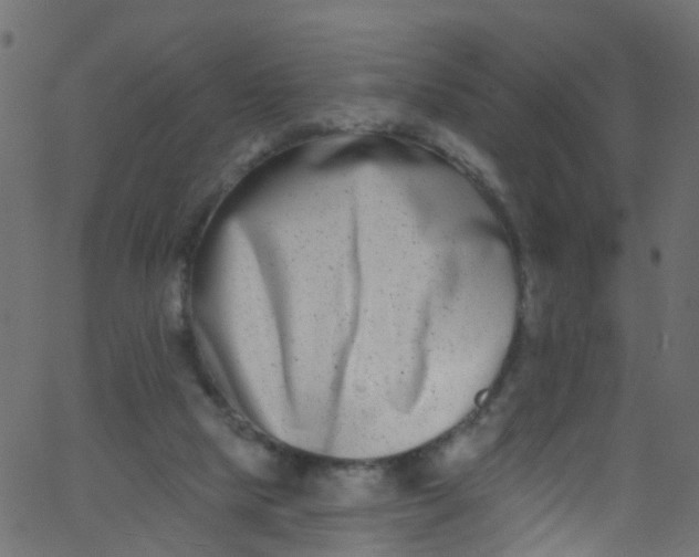 X0000062690065200601111346
