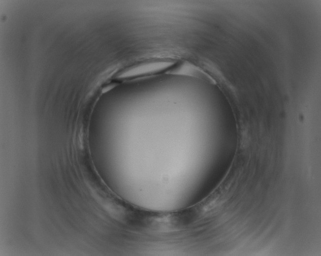 X0000062690068200601111346
