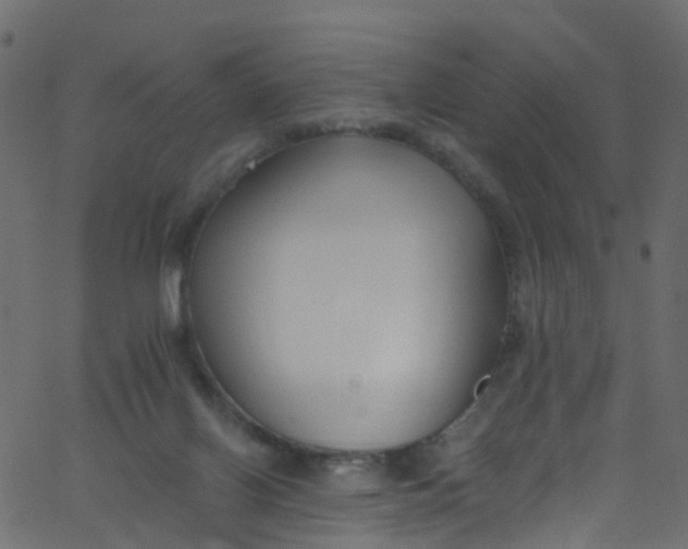 X0000062690070200601111346
