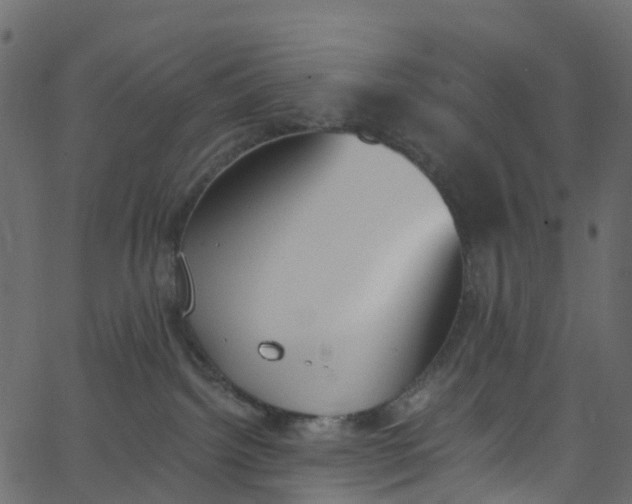 X0000062690092200601111347