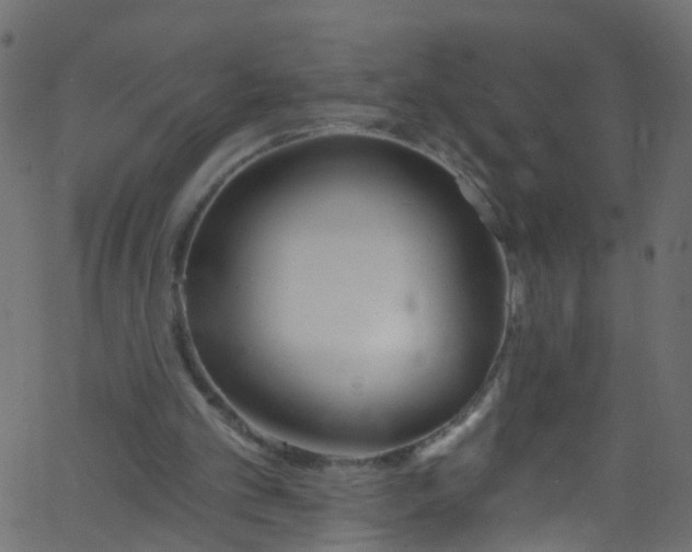 X0000062690101200601111346