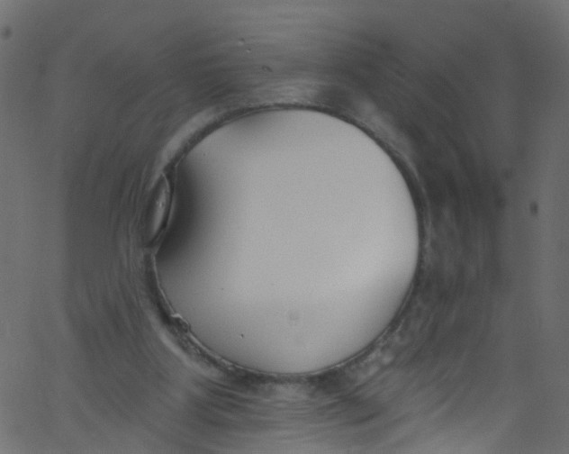 X0000062690107200601111346