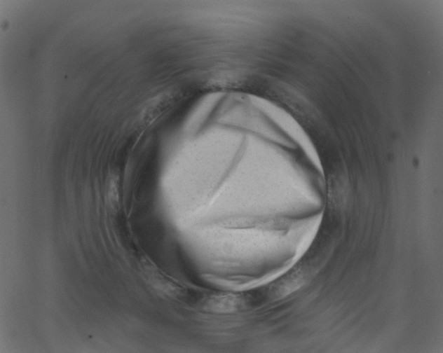X0000062690127200601111346