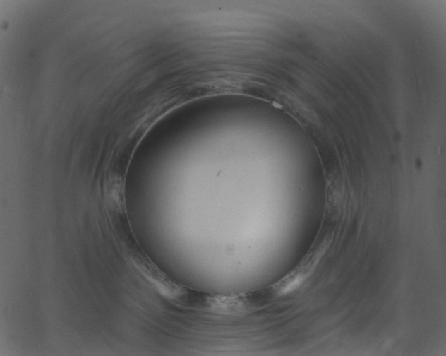 X0000062690141200601111345