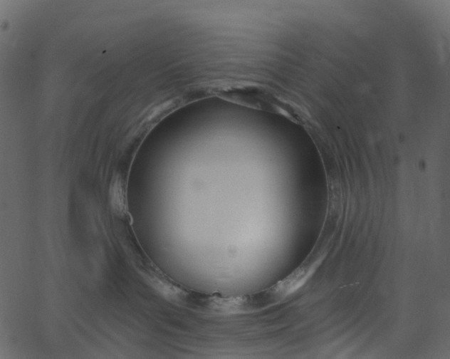 X0000062690143200601111345
