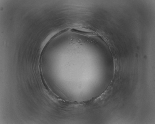 X0000062690147200601111345