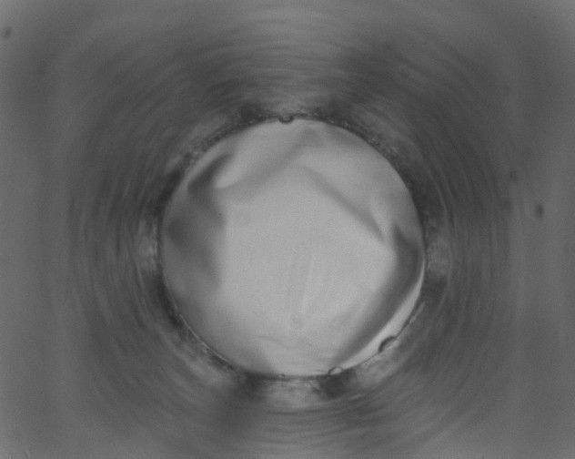 X0000062690179200601111345