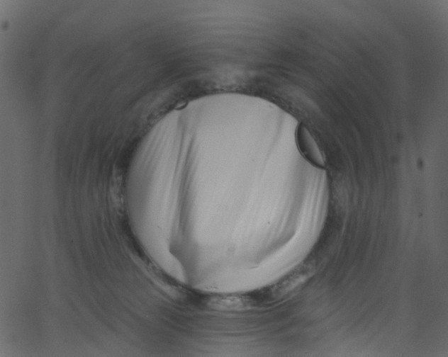 X0000062690181200601111345
