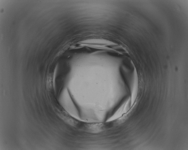 X0000062690191200601111345
