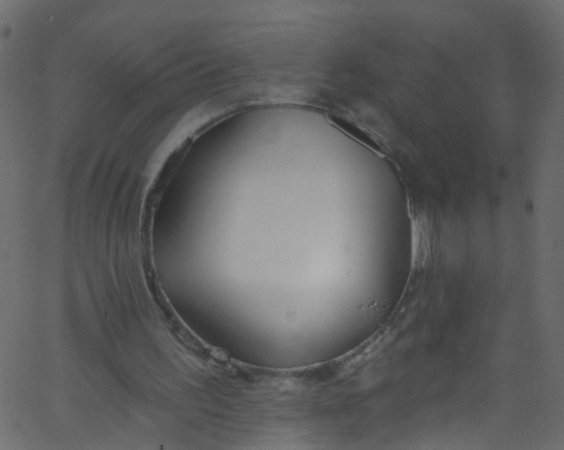 X0000062690195200601111344