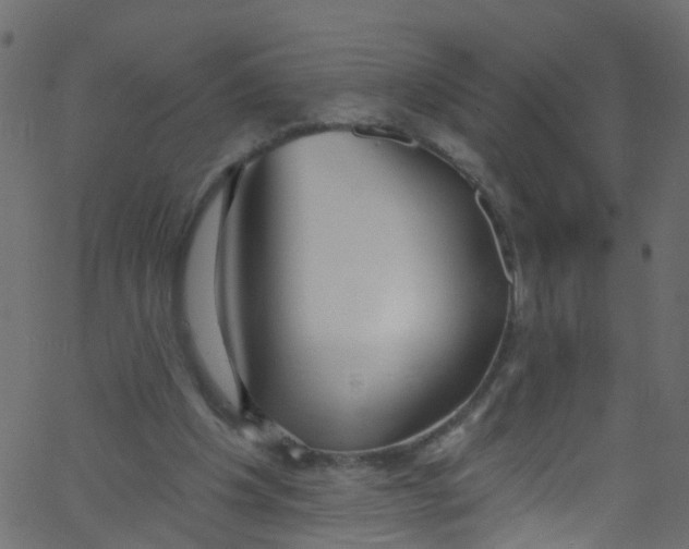X0000062690201200601111344