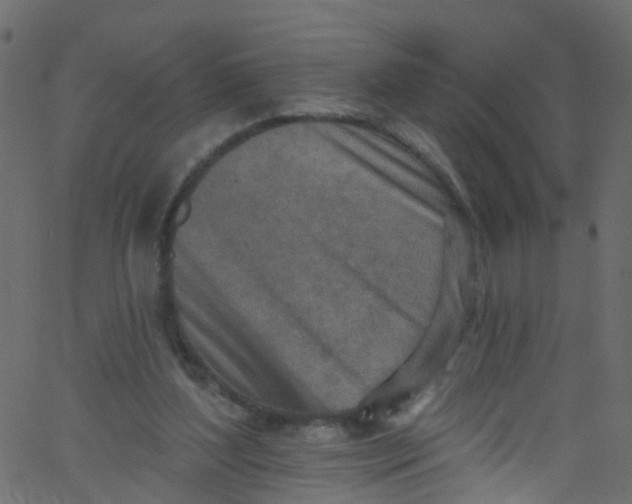 X0000062690204200601111344