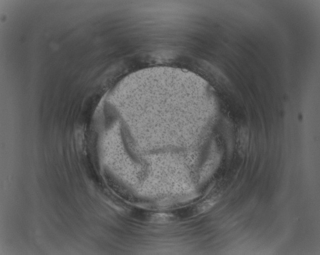 X0000062690222200601111344