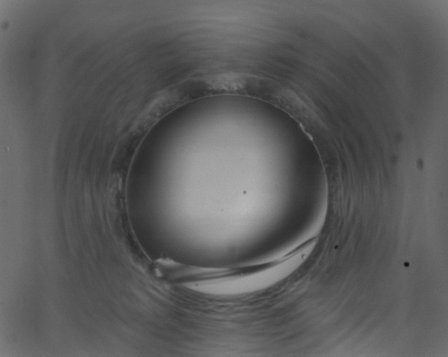 X0000062690229200601111344