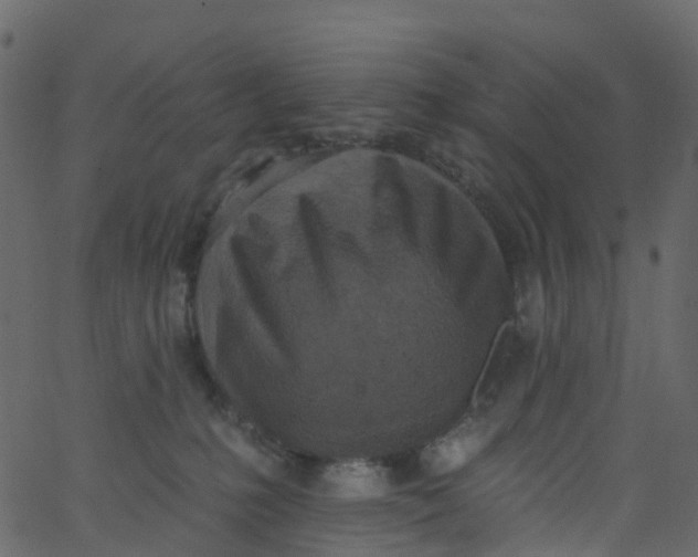 X0000062690231200601111344