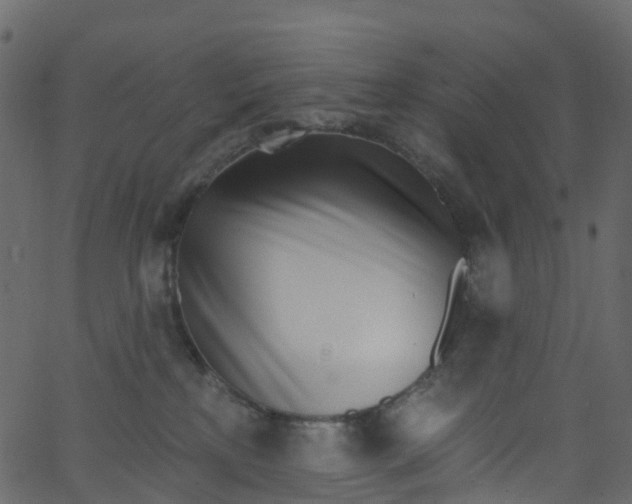 X0000062690233200601111344