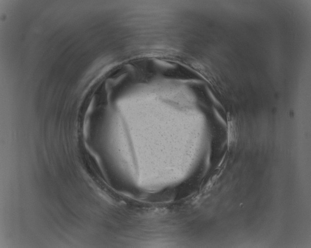 X0000062690243200601111343
