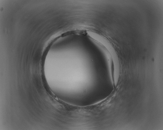 X0000062690244200601111343